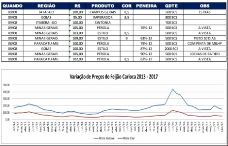 Relatório Feijão 10/08