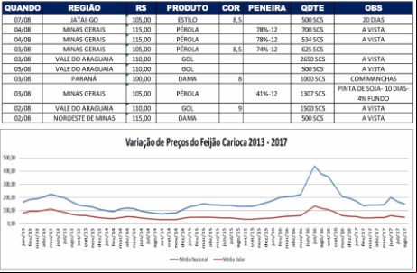 Relatório feijão 0808