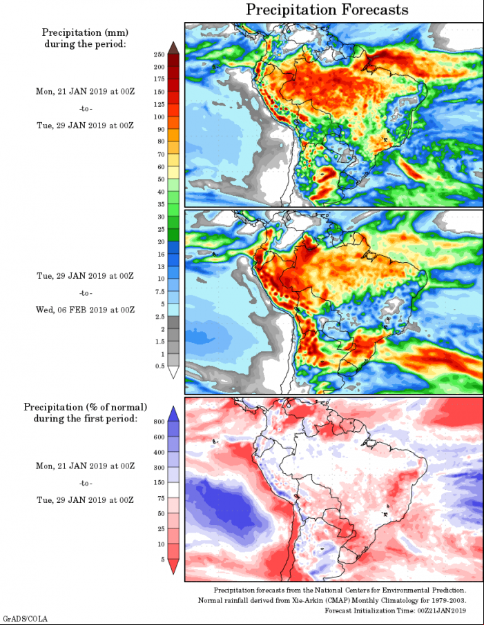 Mapa com a tendência de precipitação acumulada para o período de 21 de janeiro até 06 de fevereiro - Fonte: National Centers for Environmental Prediction/NOAA